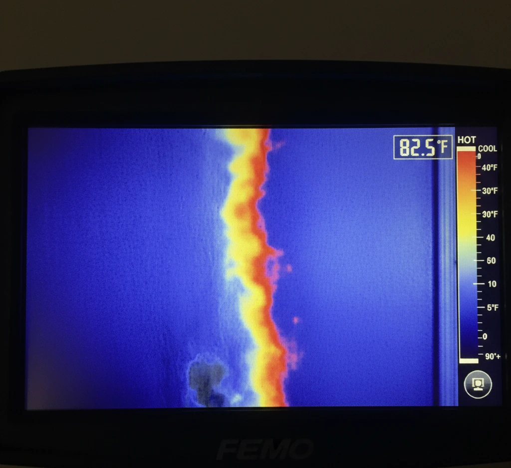 How Professional Leak Detection Saves Your Home