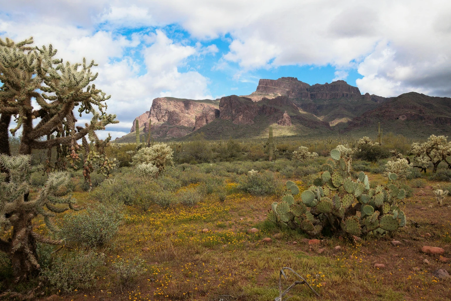 Apache Junction AZ: Outdoor Adventures, Attractions & Reliable Plumbing Services