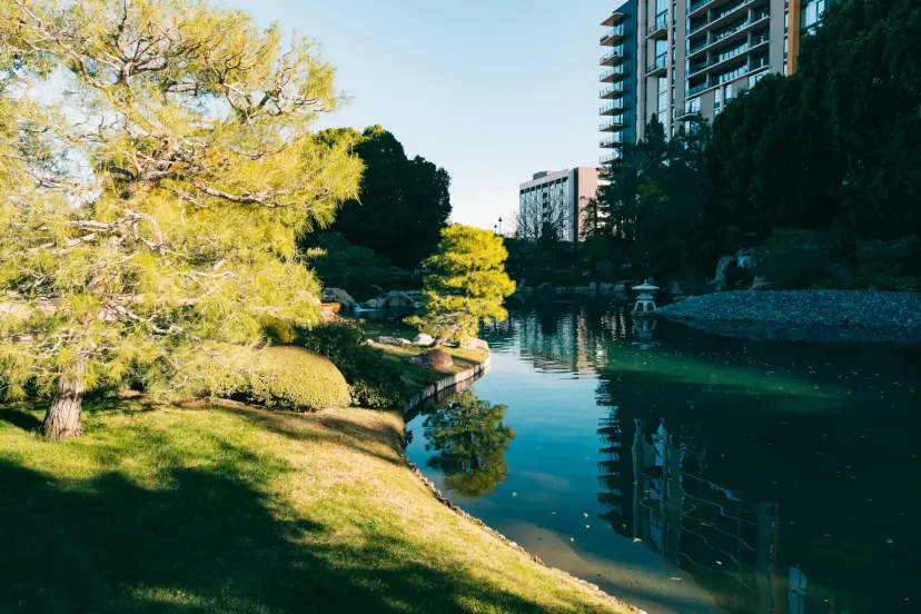 Phoenix AZ | Top Attractions, Outdoor Adventures & Plumbing Services