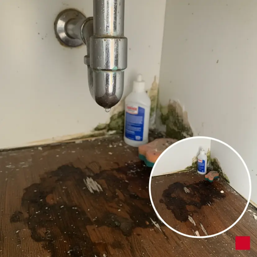 Why Ignoring a Slow Leak Could Cost You Thousands