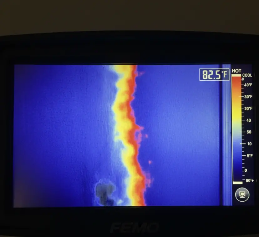 How Professional Leak Detection Saves Your Home